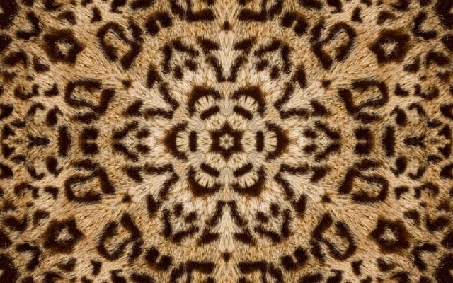 Professional Rug Cleaning
