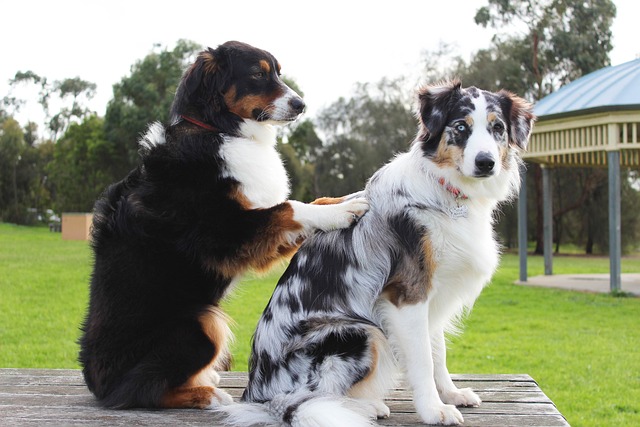 relationship therapy