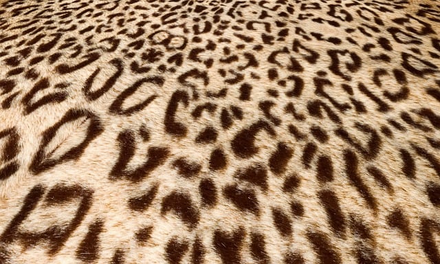 RF Skin Resurfacing