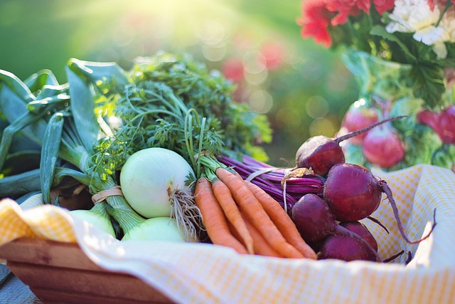 semaglutide diet program