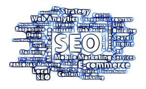 Master SEO Basics: Optimize, Rank, & Grow Your Online Presence