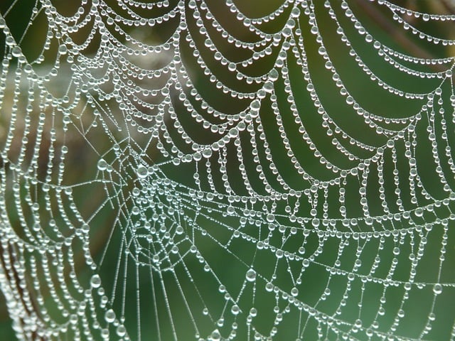 small business web design