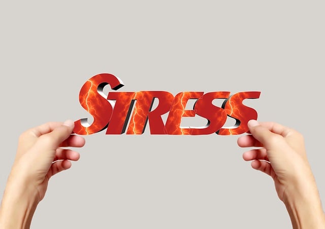 stress relief therapy