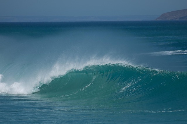 surfboard for beginners