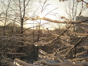 Thigh and Arm Fat Freezing: A Holistic Approach to Targeted Body Shaping
