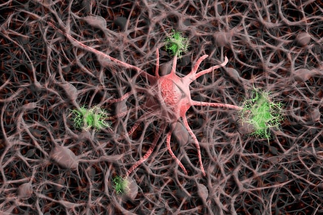 Understanding the Endocannabinoid System