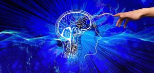 Unveiling the Endocannabinoid System: A Natural Regulatory Network