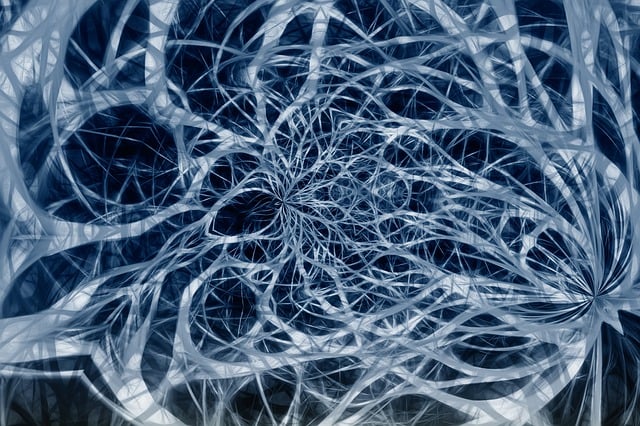 Understanding the Endocannabinoid System