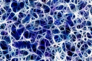 Unleashing Immune Power: Exploring the Endocannabinoid System’s Role