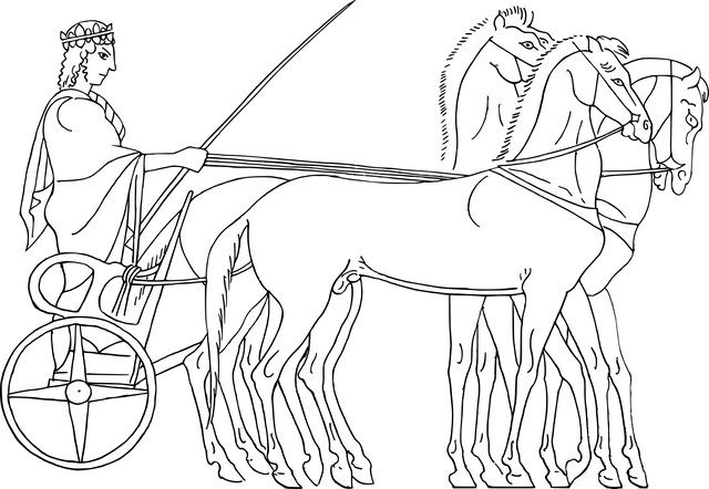 Vehicle Coverage