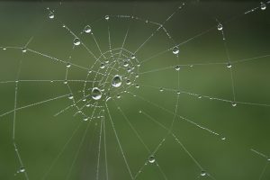 Modern Web Design: Evolving Trends and Best Practices for Optimal User Experience