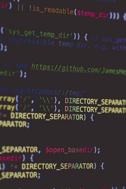 Website Development