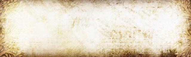 Website Redesign
