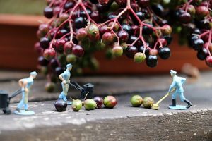 Maximizing Workplace Safety: A Comprehensive Guide to Local Workers’ Compensation