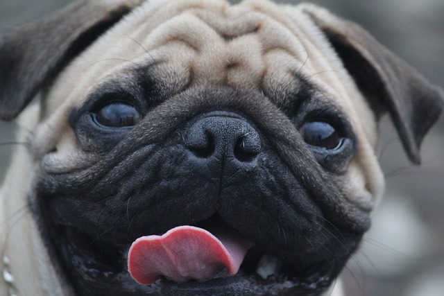 Wrinkle Reduction