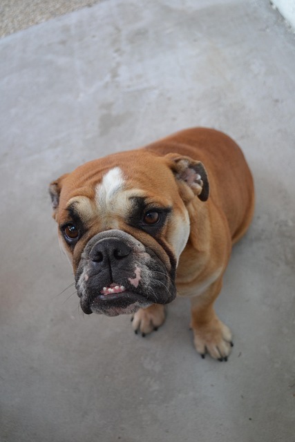 Wrinkle Reduction