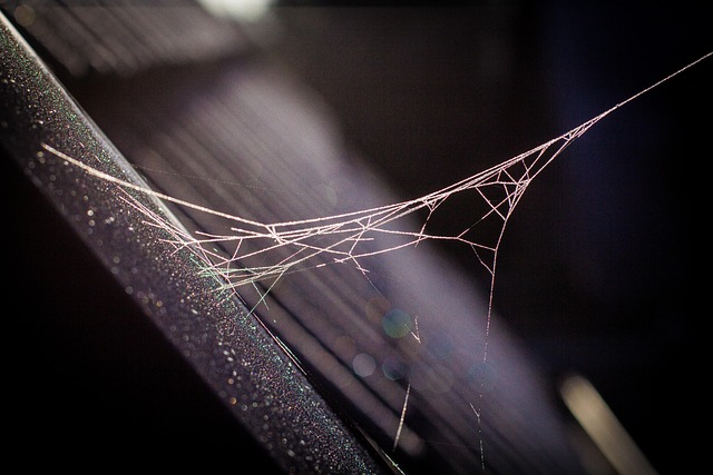 affordable web design