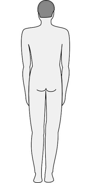 Holistic Body Reshaping: Comprehensive Techniques for Optimal Results