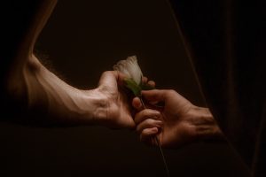 Restorative Marriage Counseling: Healing Bonds, Revitalizing Relationships