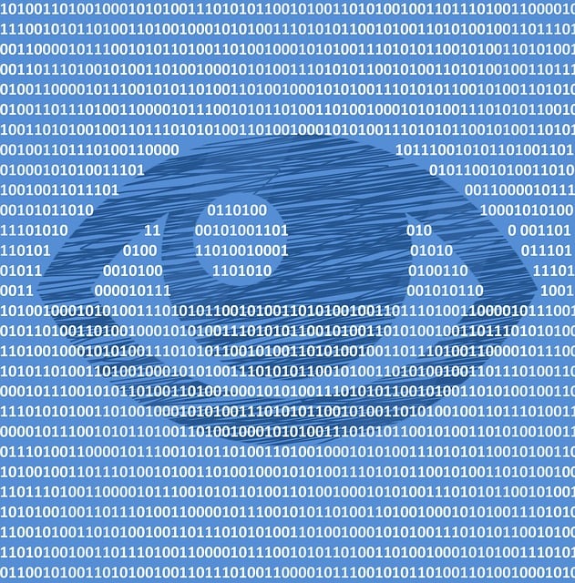 Cyber Insurance for Data Protection