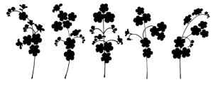 Delta-8 THC: Unlocking Natural Pain Relief Options Near You