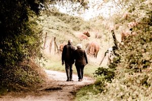 Elderly Companion Services: Alleviating Loneliness & Fostering Supportive Systems