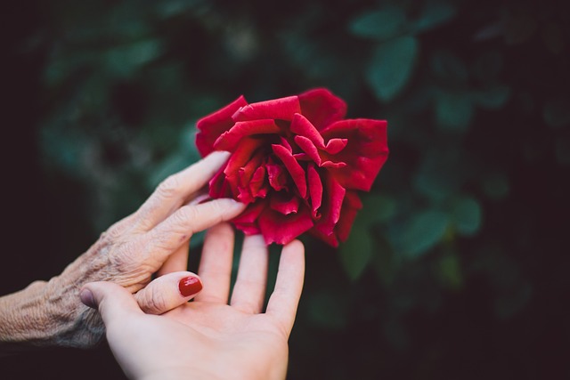 Elderly Person