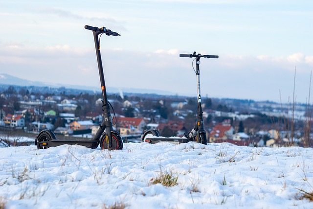 electric scooters for adults