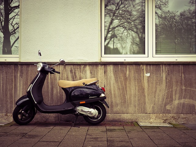 electric scooters for adults