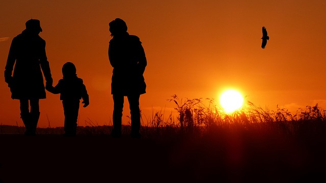 family counseling services