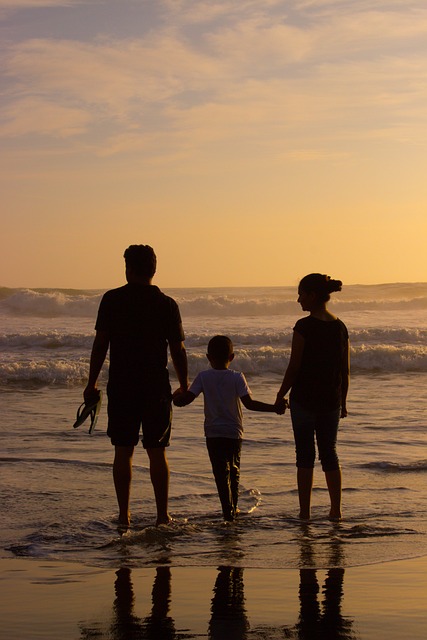 family health insurance