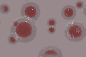 Affordable Fat Freezing: Cost-Effective Body Contouring for Targeted Cell Reduction
