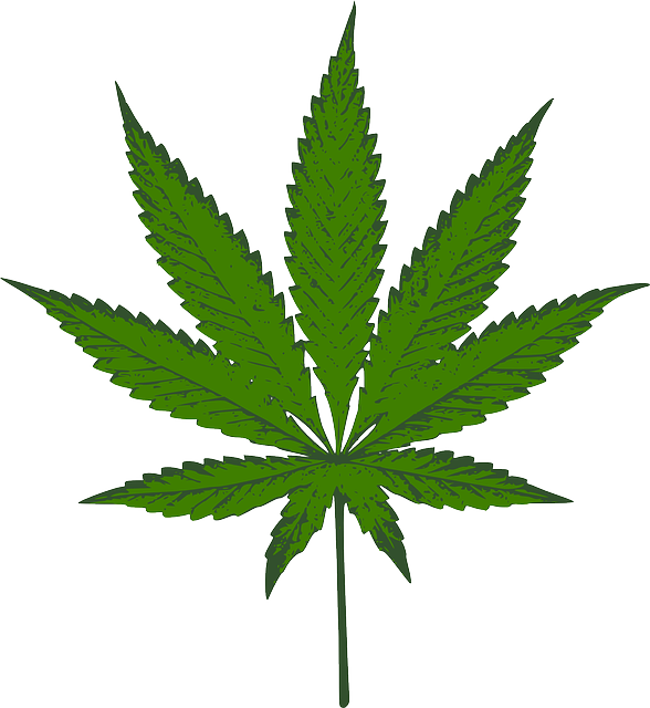 Full Spectrum Hemp Oil
