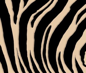 Modern Graphic Designers: Unlocking Creativity, Navigating Trends, Building Portfolios