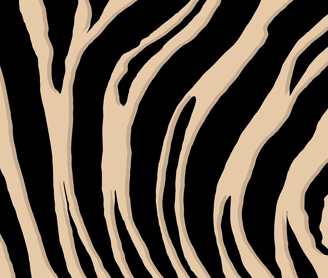 Graphic Design