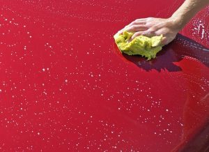 Mastering Grout Cleaning: Expert Tips for Sparkling Results