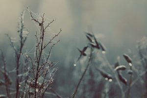 Latest Web Design Trends: Enhancing User Experience with Modern Features