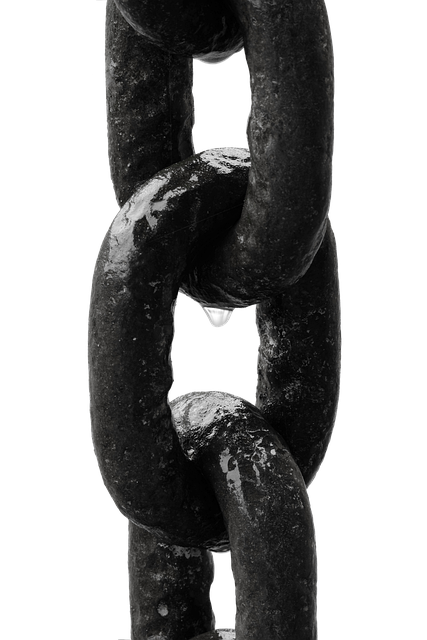 Link Building