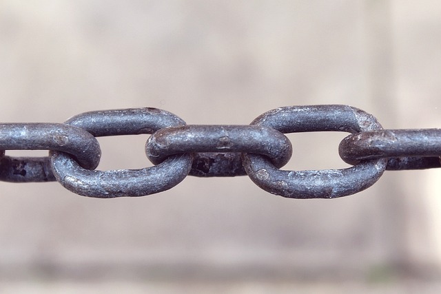 Link Building