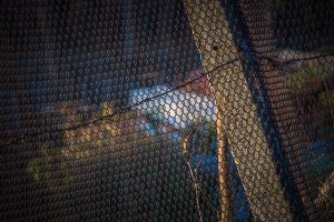 Master Link Building Through Guest Posts: Strategy & Success