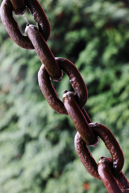 Link Building