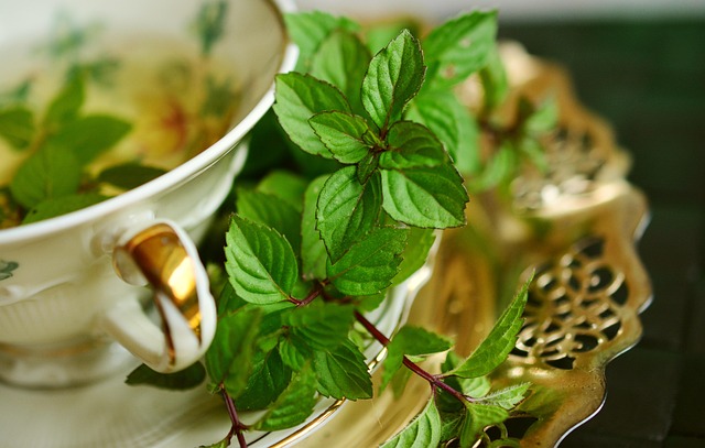 Mint Flavored CBD Tincture