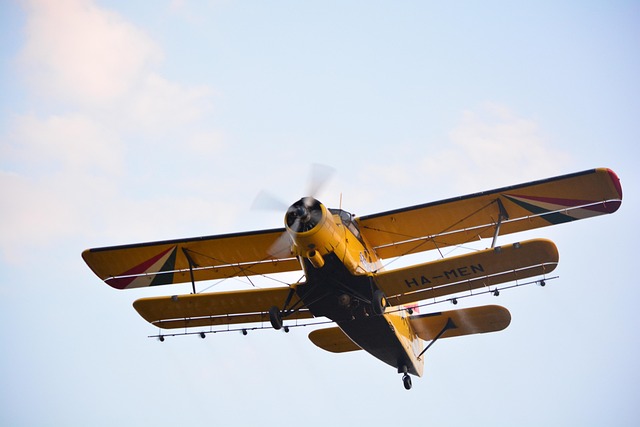 Mosquito Control