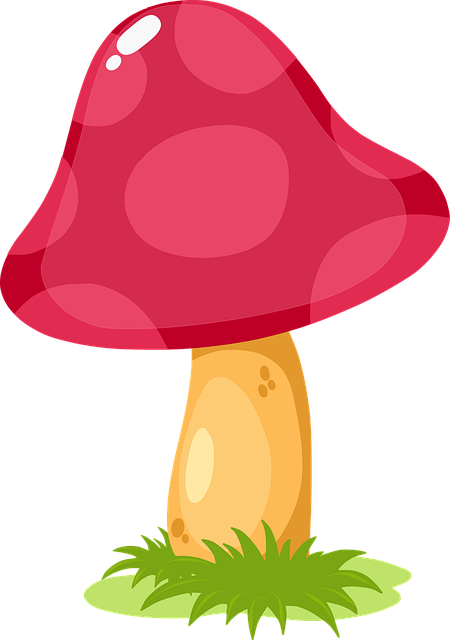 Mushroom Gummies for Focus