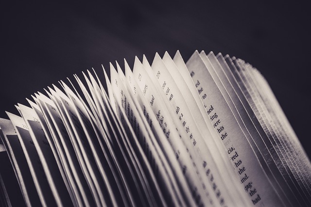 On-Page Optimization Training