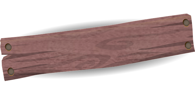 OneWheel electric board