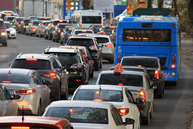 Organic Traffic