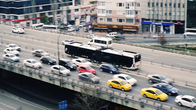 Organic Traffic