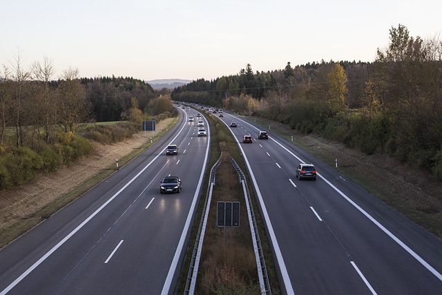 Organic Traffic