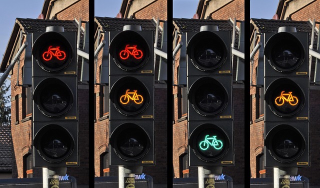 Organic Traffic